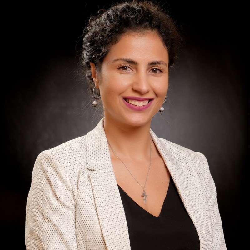 Armenian Women on the Board of Directors Network Armenian Women on the Board of Directors Network