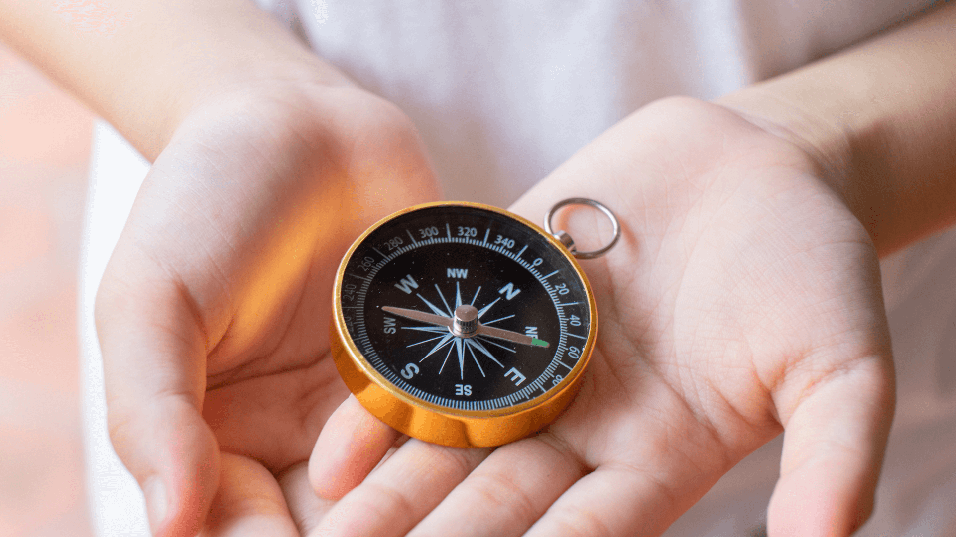 ''Orientation of New Board Members within the Context of the RA Corporate Governance Code'' Article