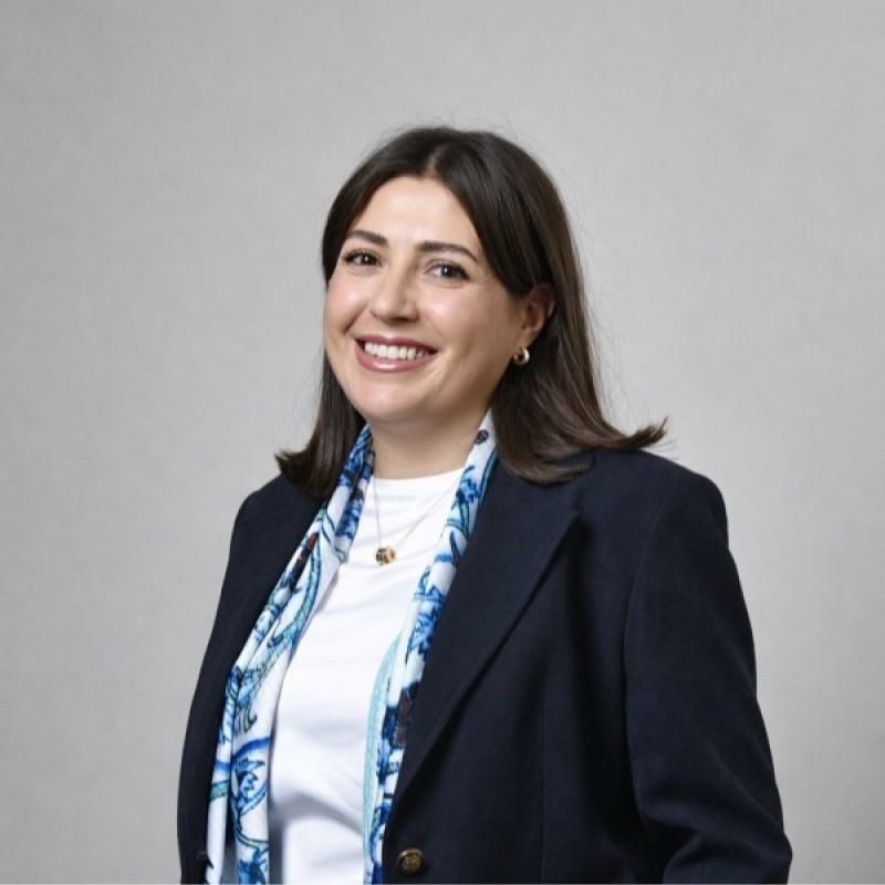 Հայ կանայք տնօրենների խորհրդում ցանց