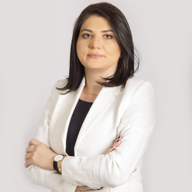 Armenian Women on the Board of Directors Network